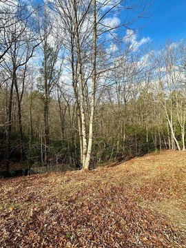 Vacant Lot, Blue Ridge, GA