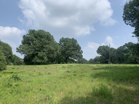 Oakwood Ranch with Mature Trees