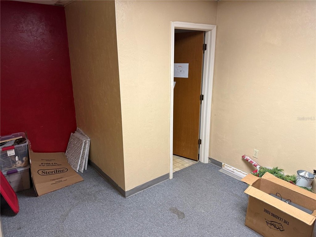 Picture 5