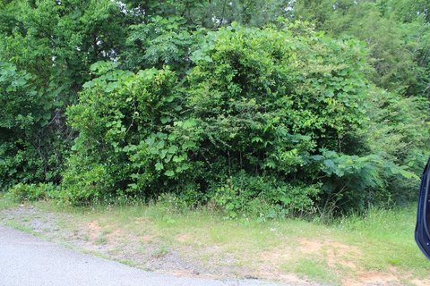 Land in Singer Heights