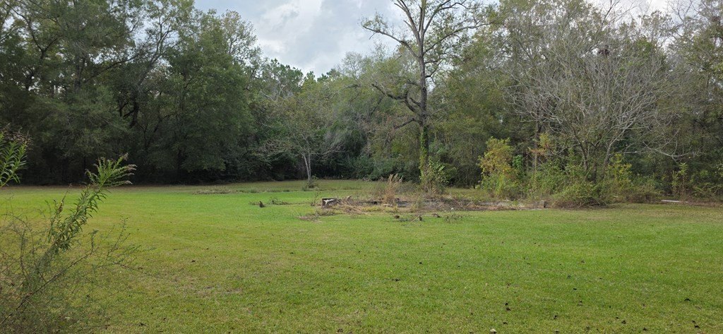 Picture 3