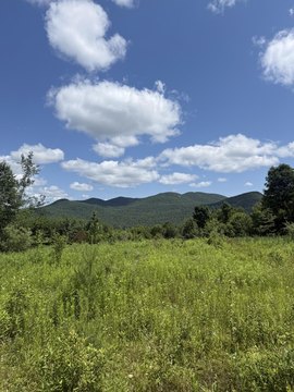 Two-Level Building Lots in Adirondacks