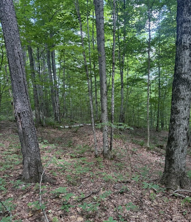 Picture 14