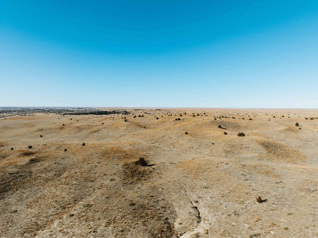 Picture 25