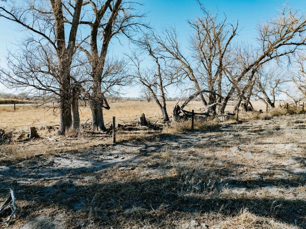 Picture 28