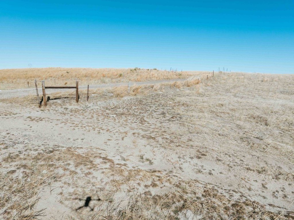 Picture 15