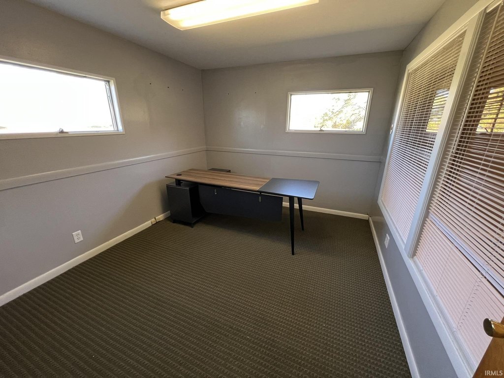 Picture 5
