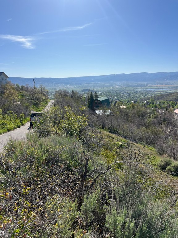 Picture 15