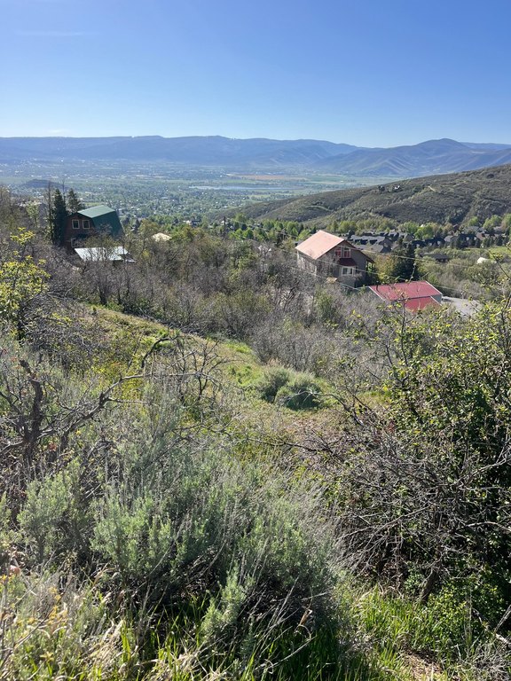 Picture 18