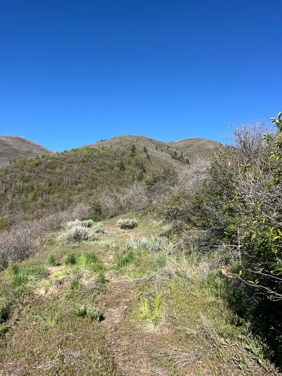 Picture 6