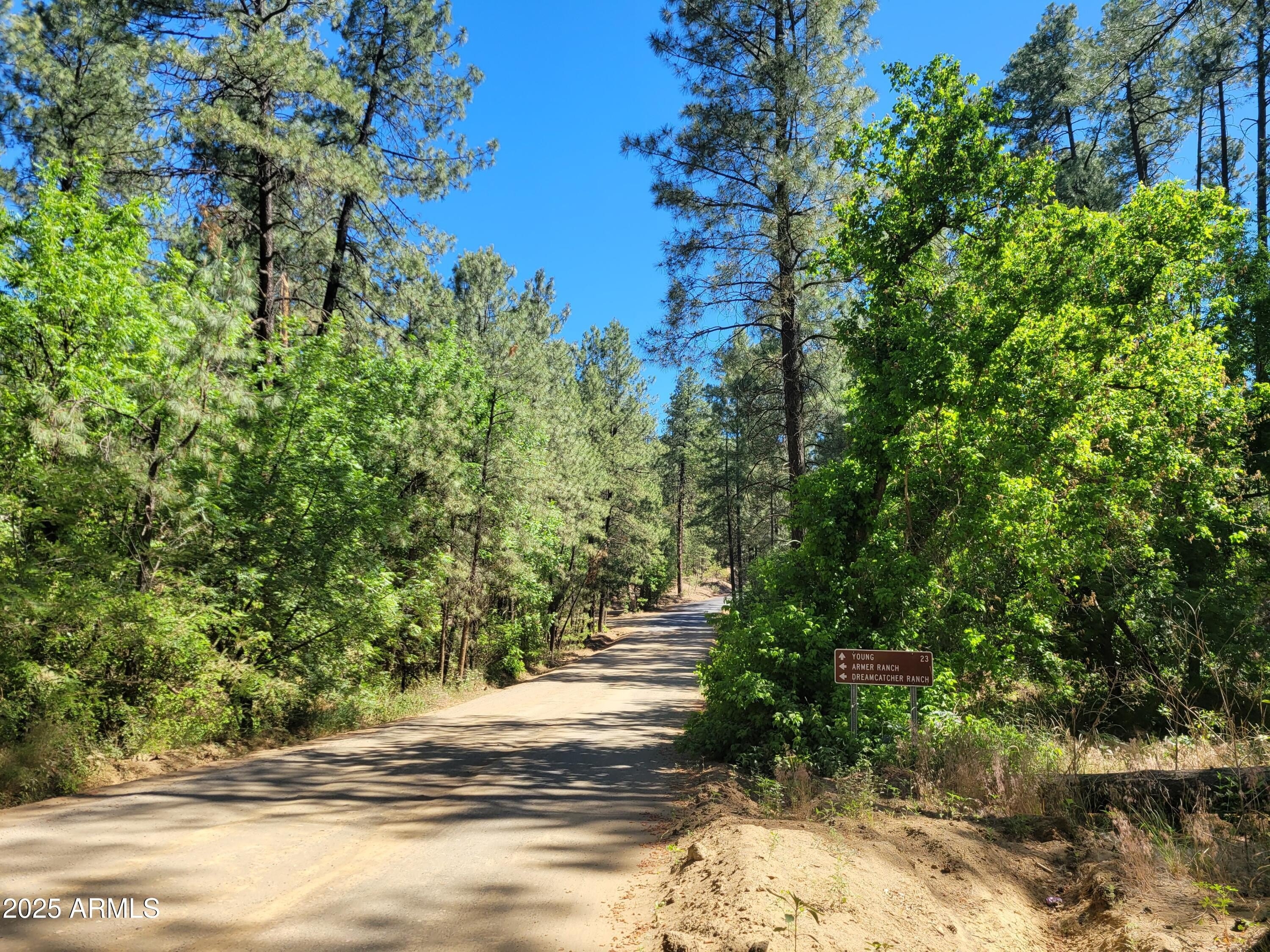 3 Acres Mountain Terrain Retreat
