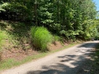 Upslope Building Lot Near Creek
