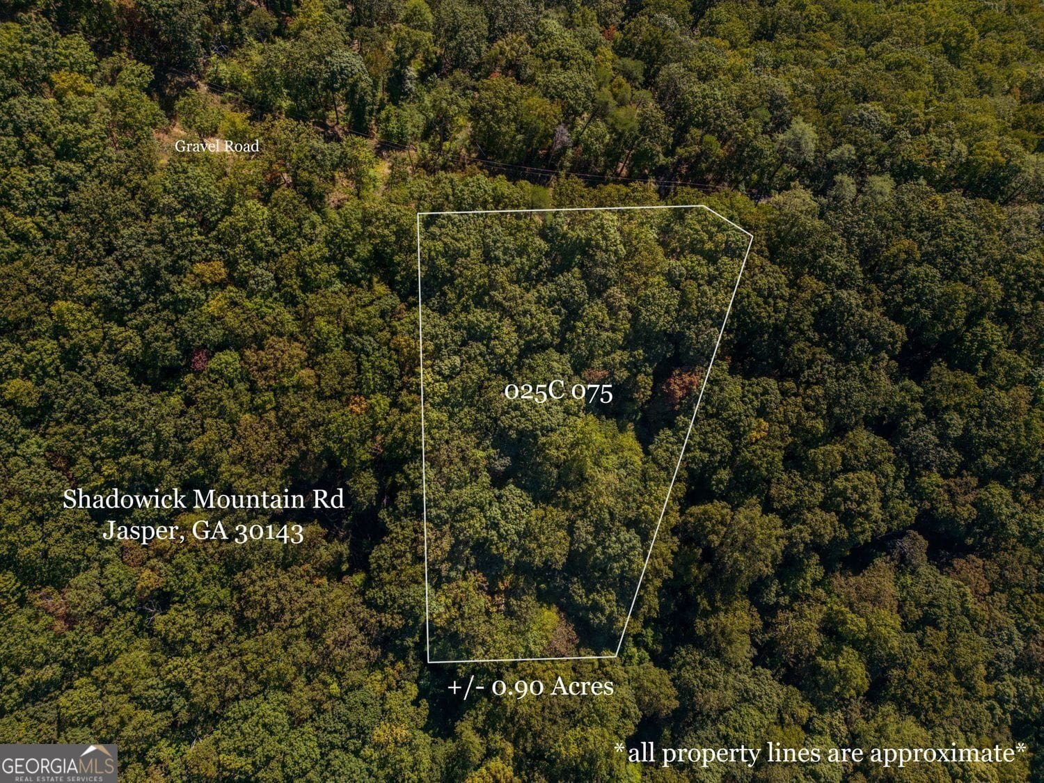 Land with Mountain Views