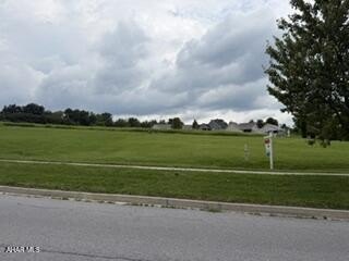 Picture 3