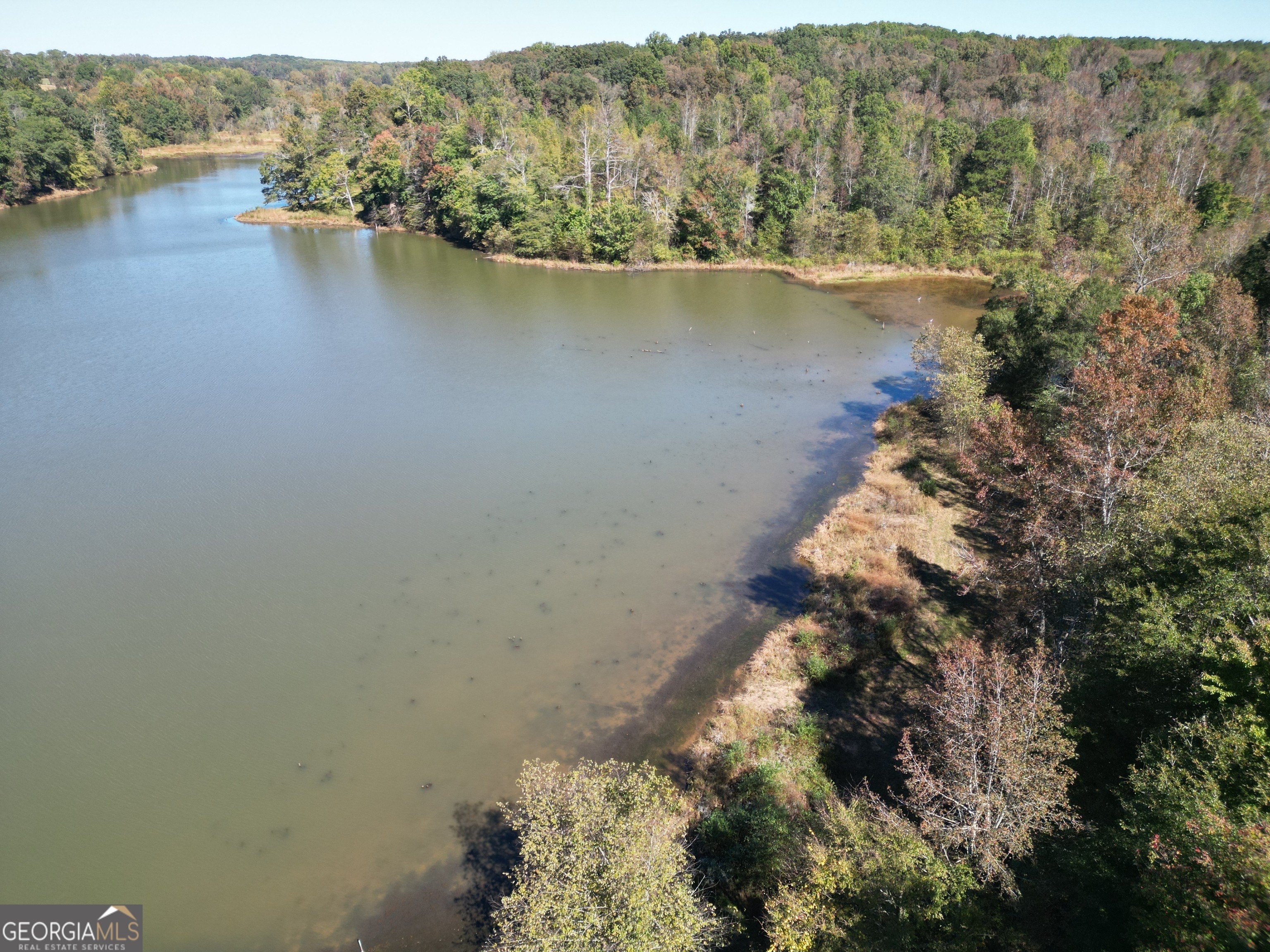 56 Acres with Private Lake