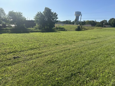 Ozark Commercial Lot For Sale