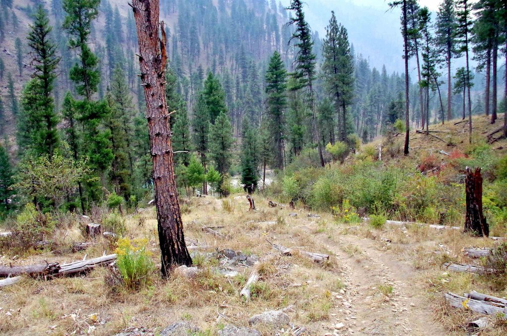 Picture 3