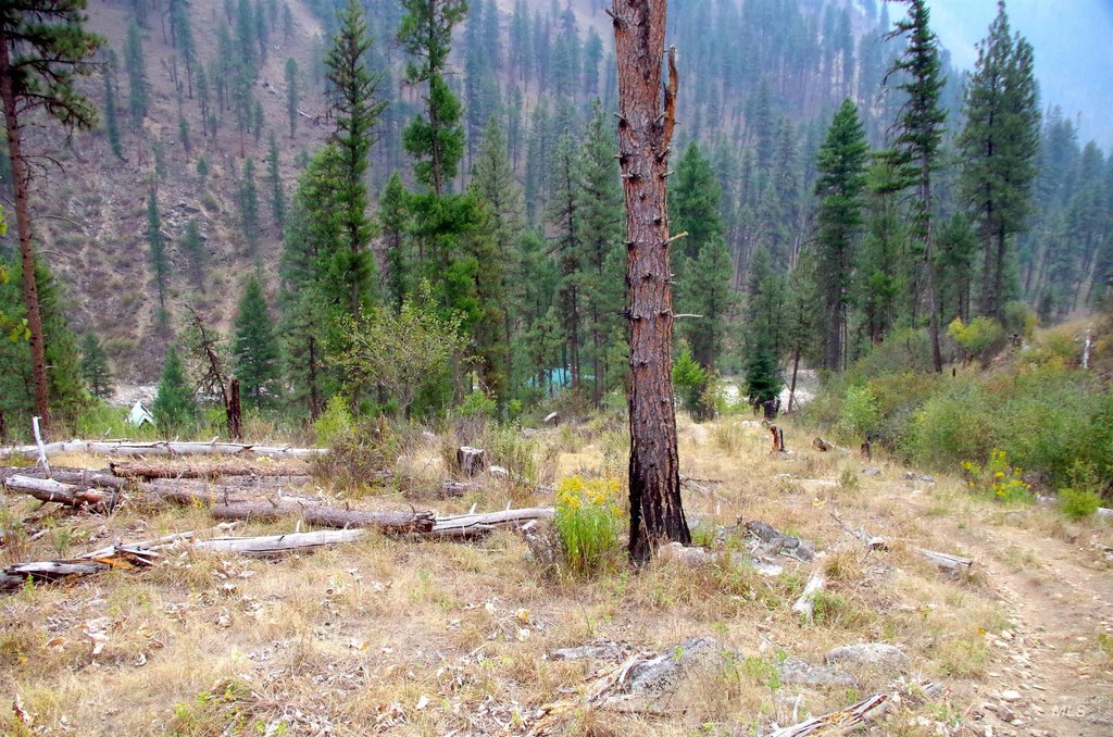 Picture 4
