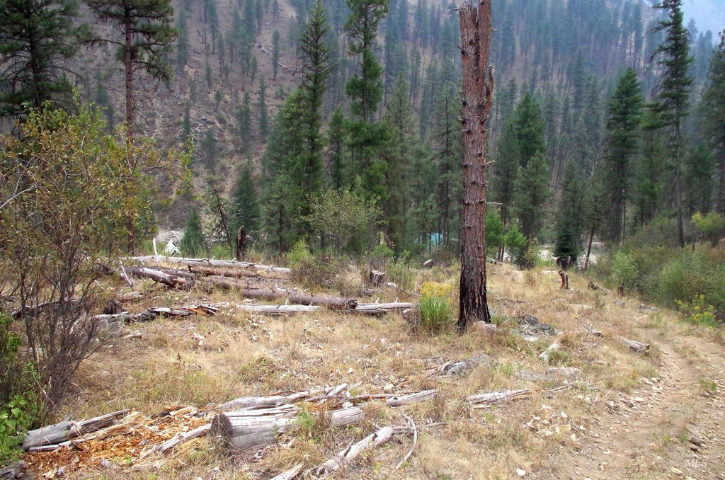 Picture 5