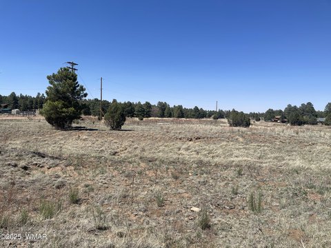 Overgaard, AZ Level Lot