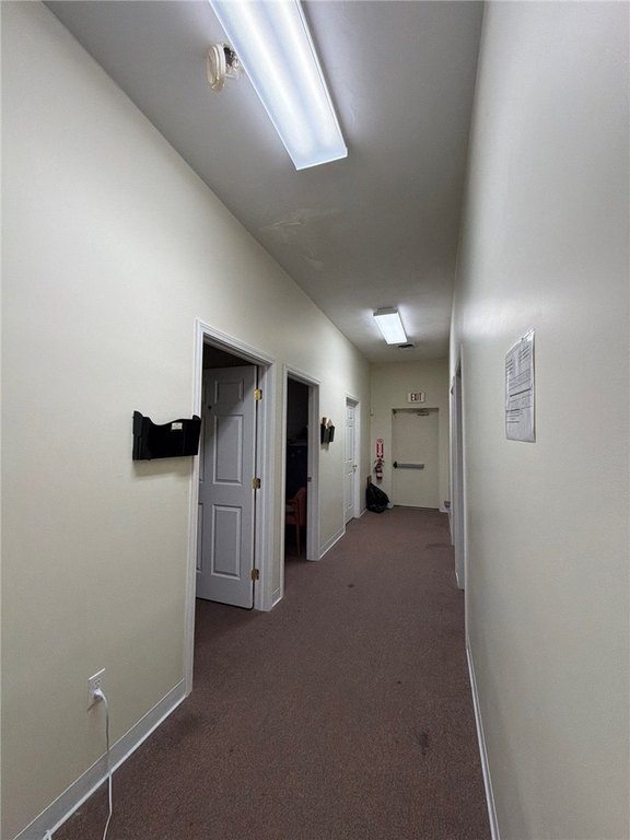 Picture 25