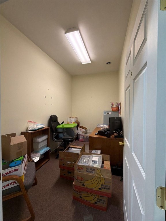 Picture 23