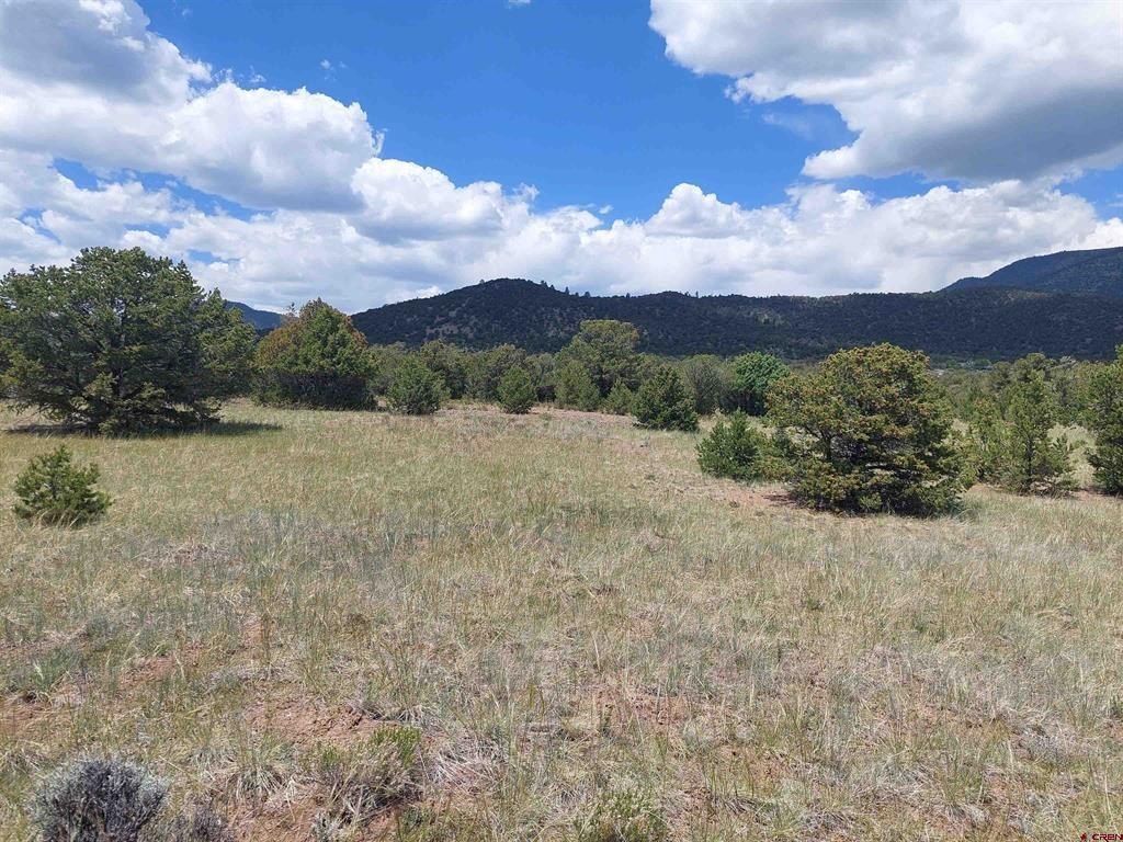 Land in South Fork, CO