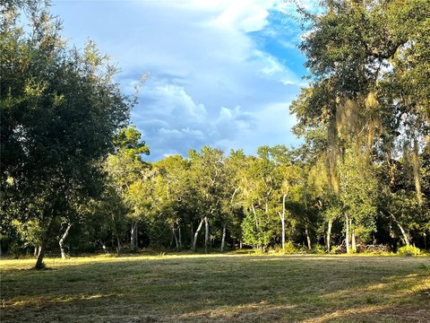 Land, FANNING SPRINGS, FL