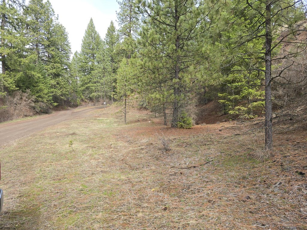 Picture 4