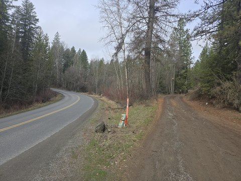 Timbered Forestry Land Parcel