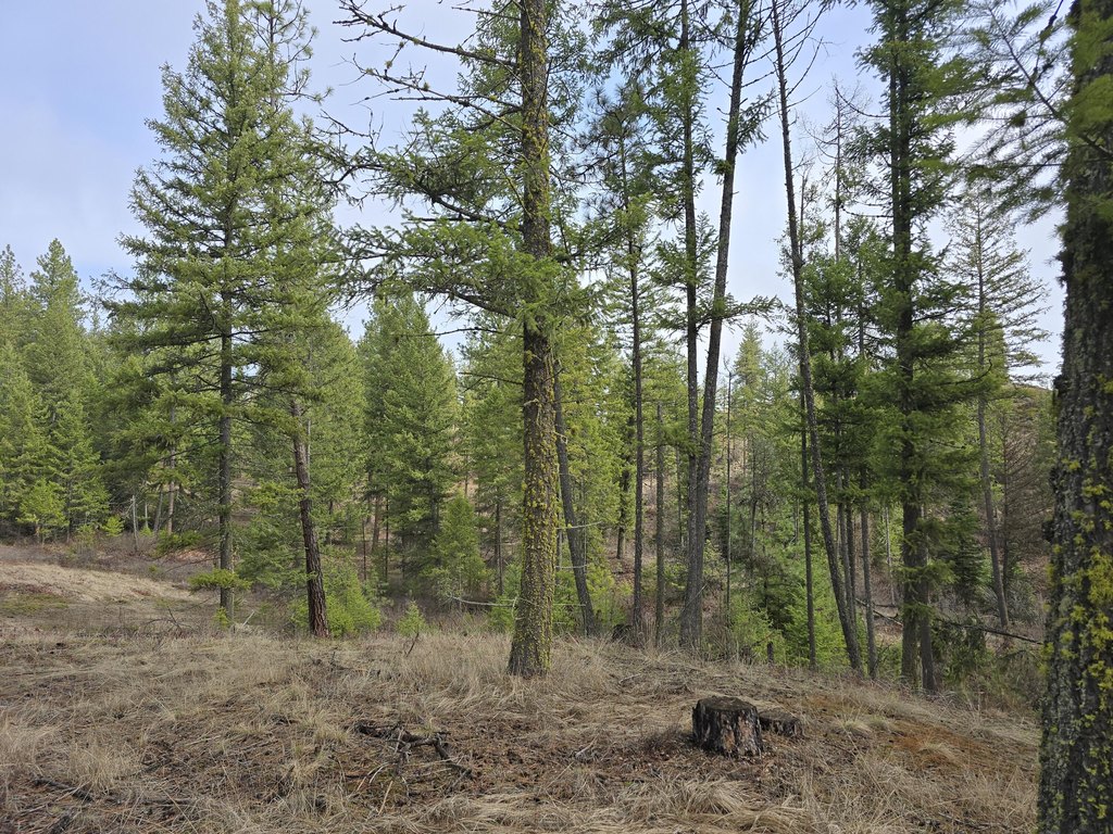 Picture 13