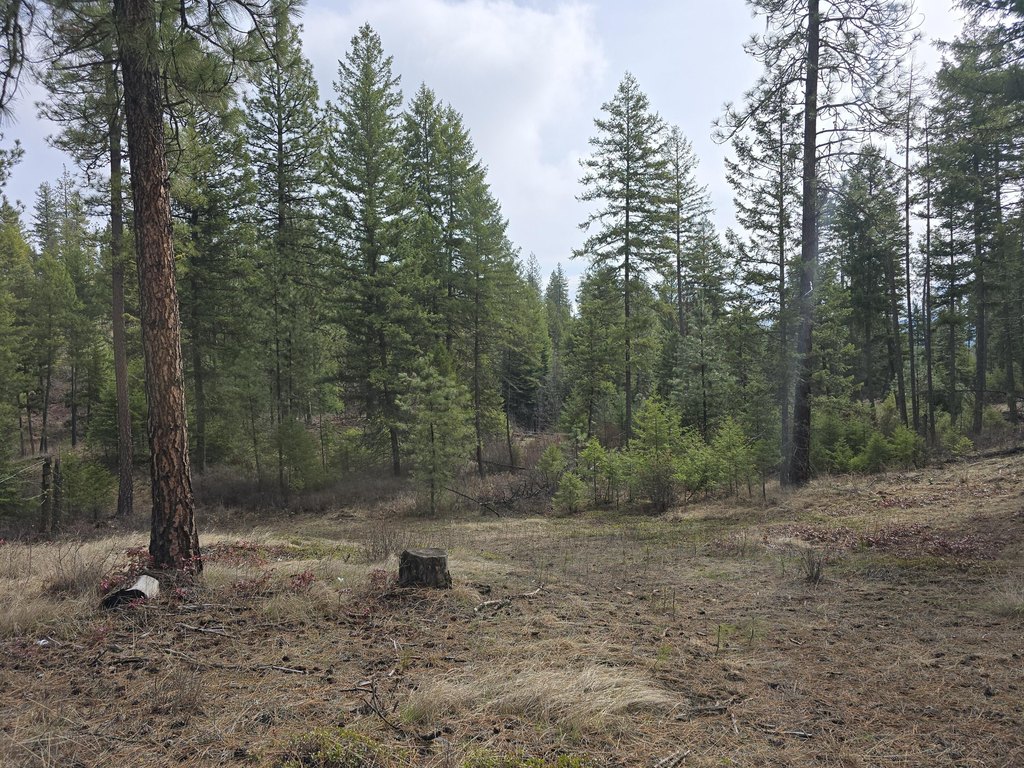 Picture 11