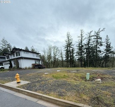 Residential Land in Lake Oswego