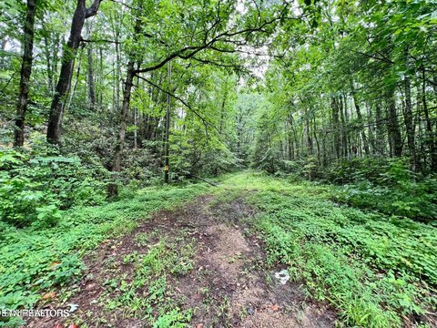 Lots & Acreage, Sevierville, TN