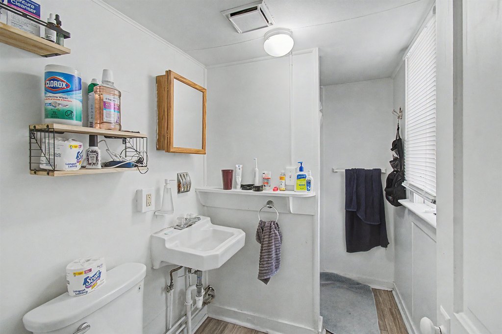Picture 16