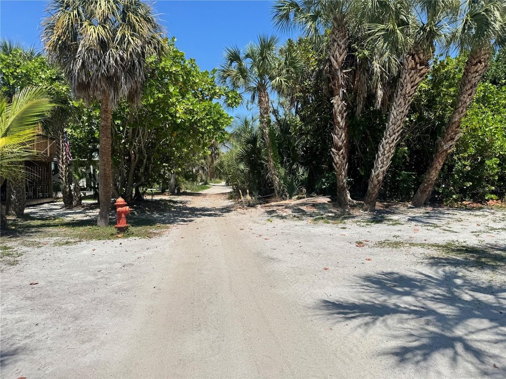 Picture 16