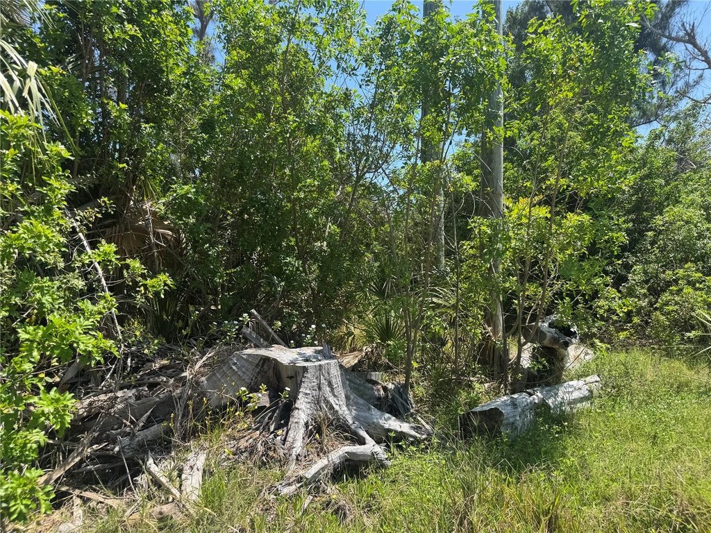 Picture 6