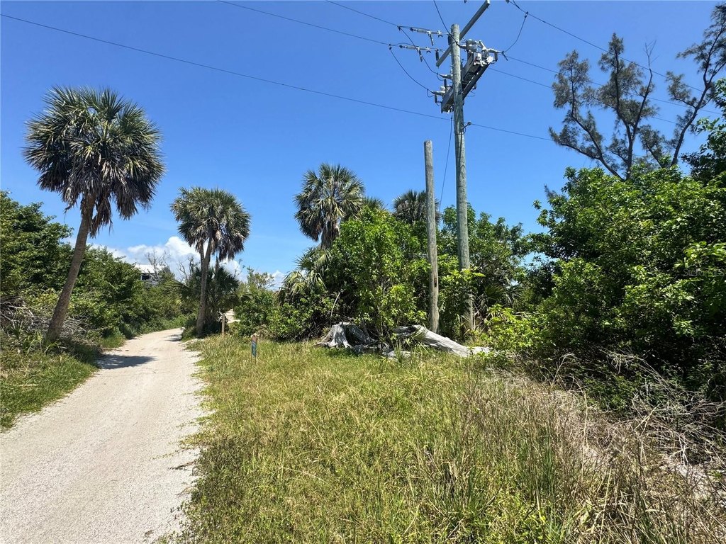 Picture 15