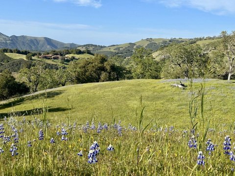 Carmel Land with Equestrian Potential