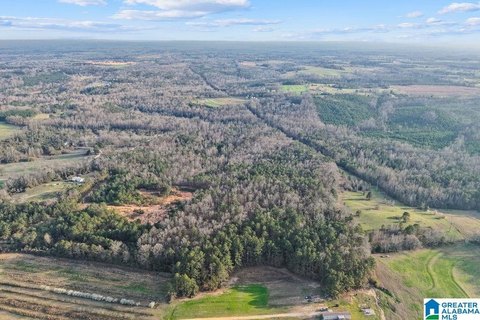Timber and Pasture Land Tract
