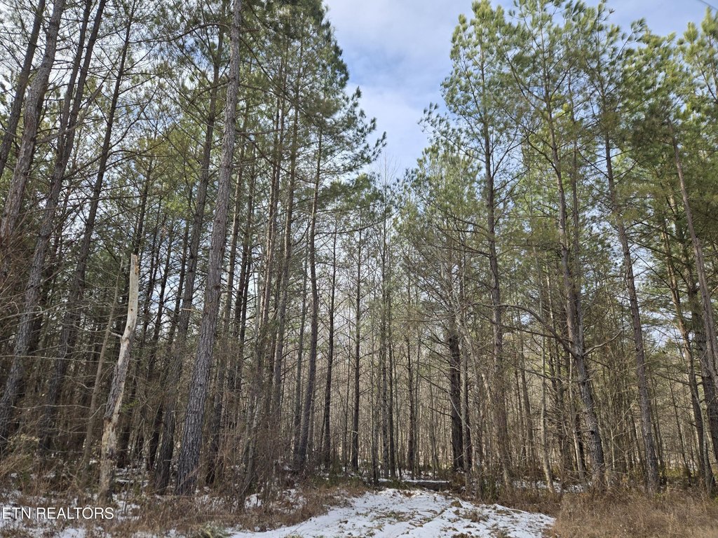 Picture 26