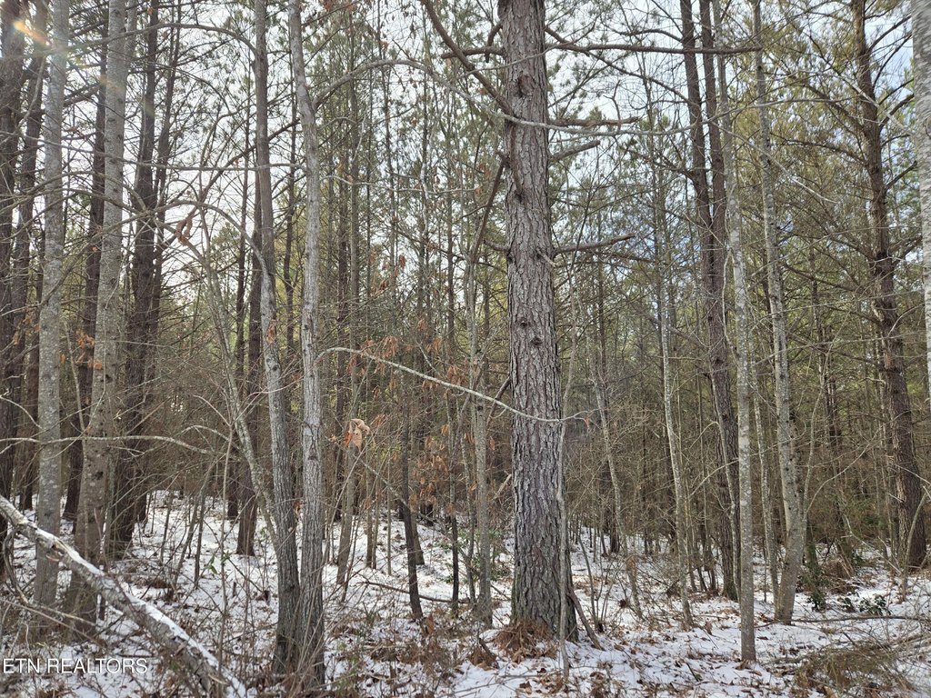 Picture 25