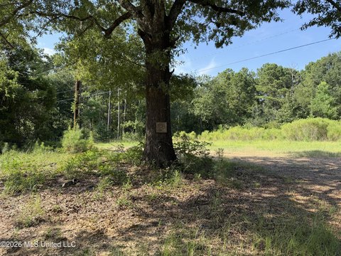 LAND - Canton, MS