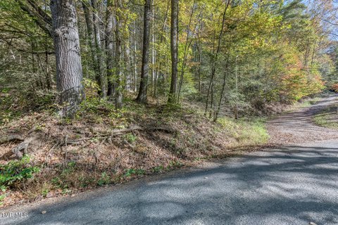 Land, Mountain City, TN