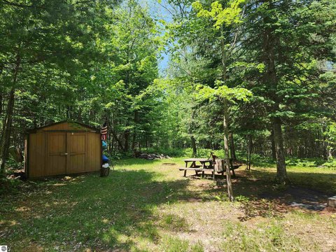 Wooded Land in Kalkaska County