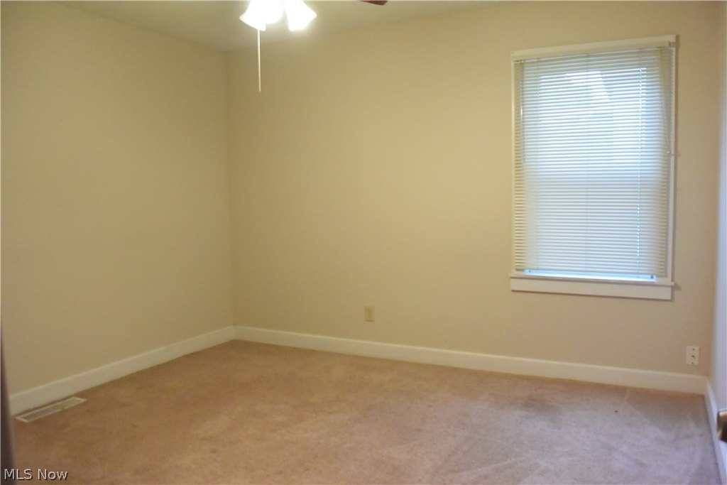Picture 42