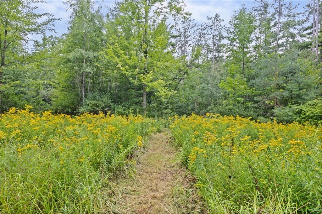 Picture 31