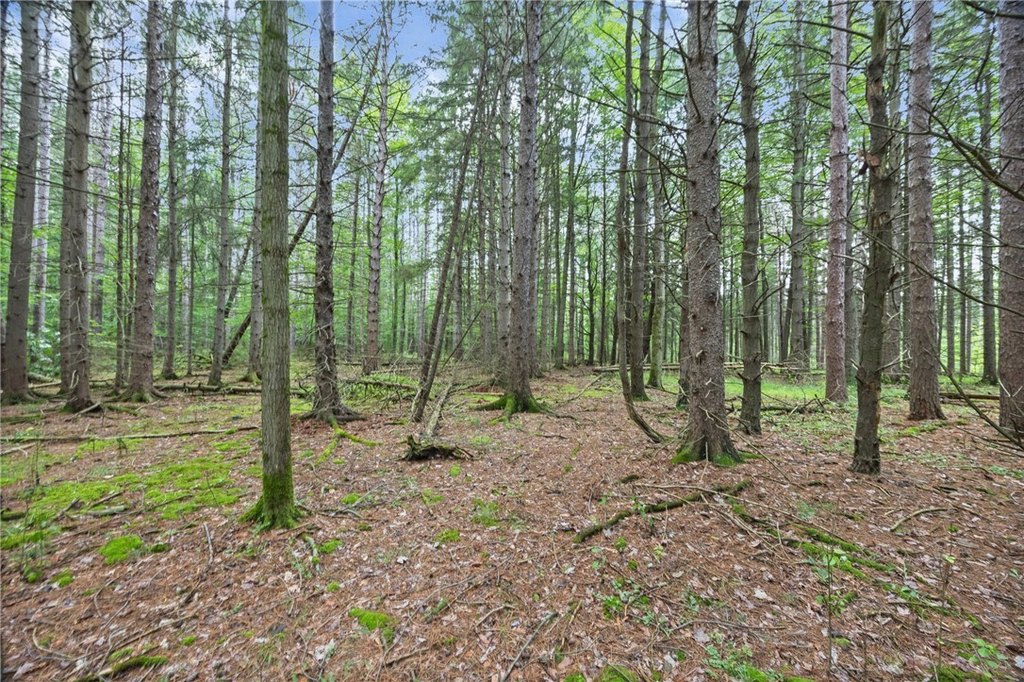 Picture 29