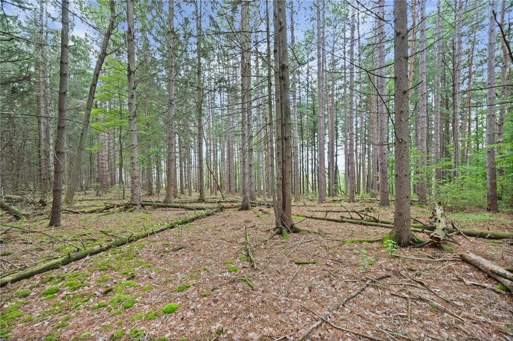 Picture 28