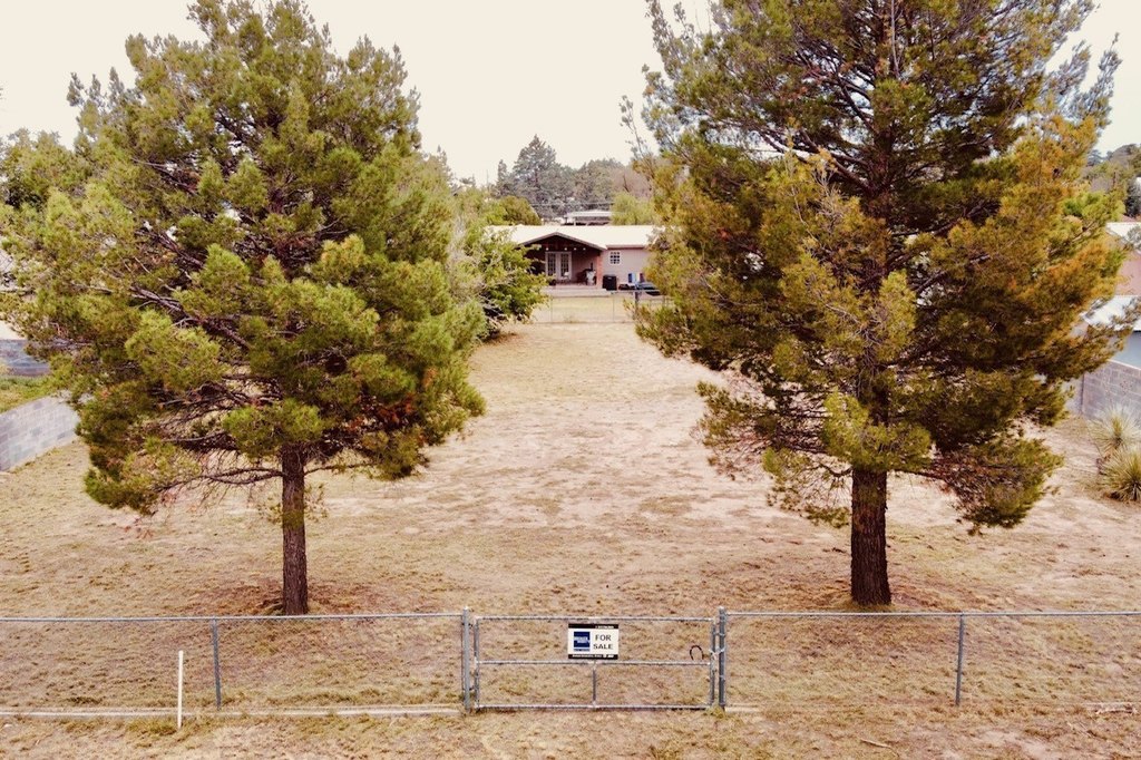 Picture 7